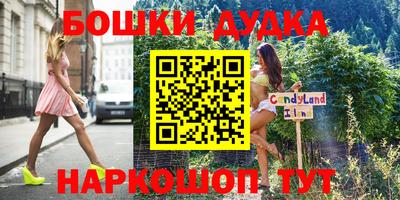 ешки Славгород