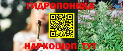 ешки Славгород