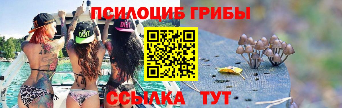 Санкт-Петербург  Галлюциногенные грибы Psilocybe  Вход с VPN 